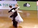 2014年WDSF世界体育舞蹈大奖赛（爱沙尼亚）摩登舞第三轮探戈SOLOZharkov - Kulikova