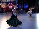 2014���й������赸�����������վ��ְҵ��S����άҲ�ɻ�����